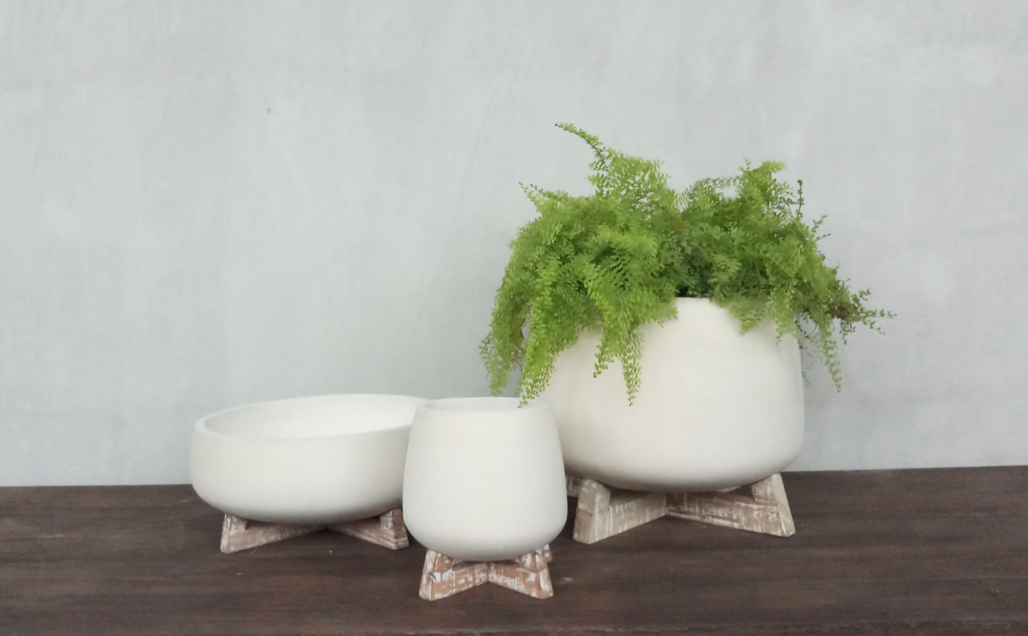 Chaya Planter Set of 3