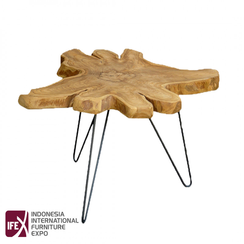 Teak Root Slab Table with Iron Legs