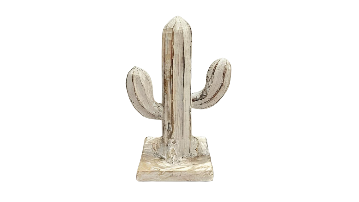 Cactus with 3 Trunks