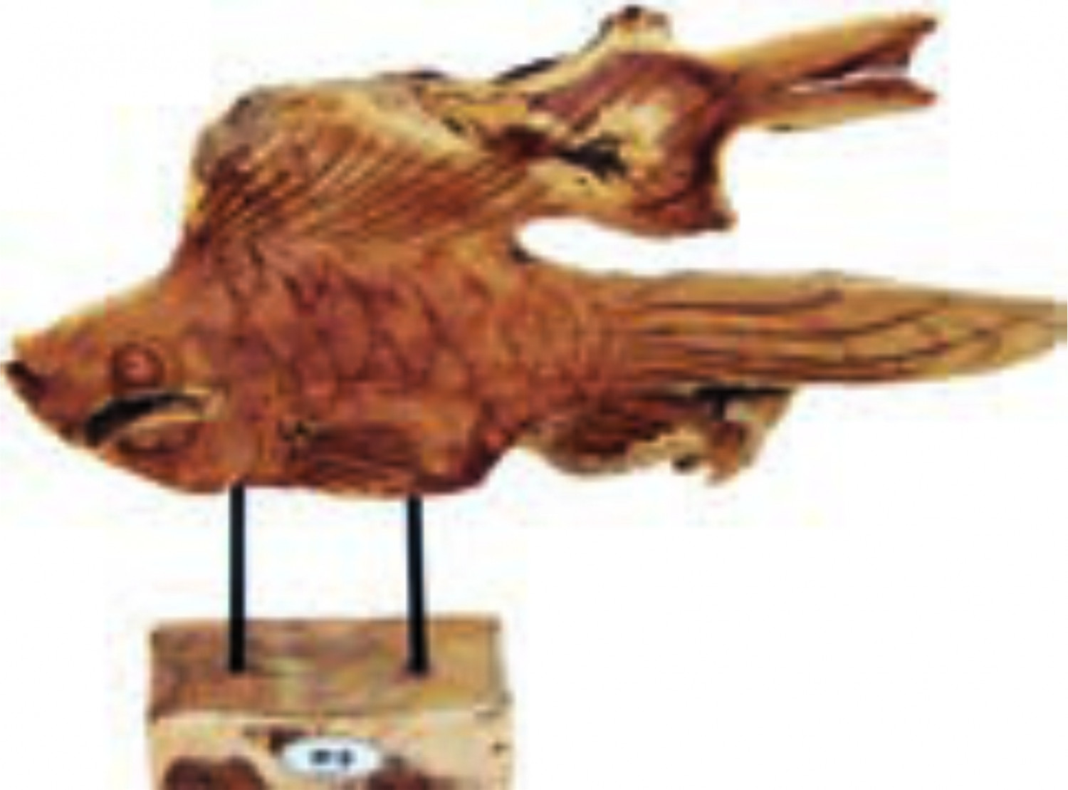 FISH