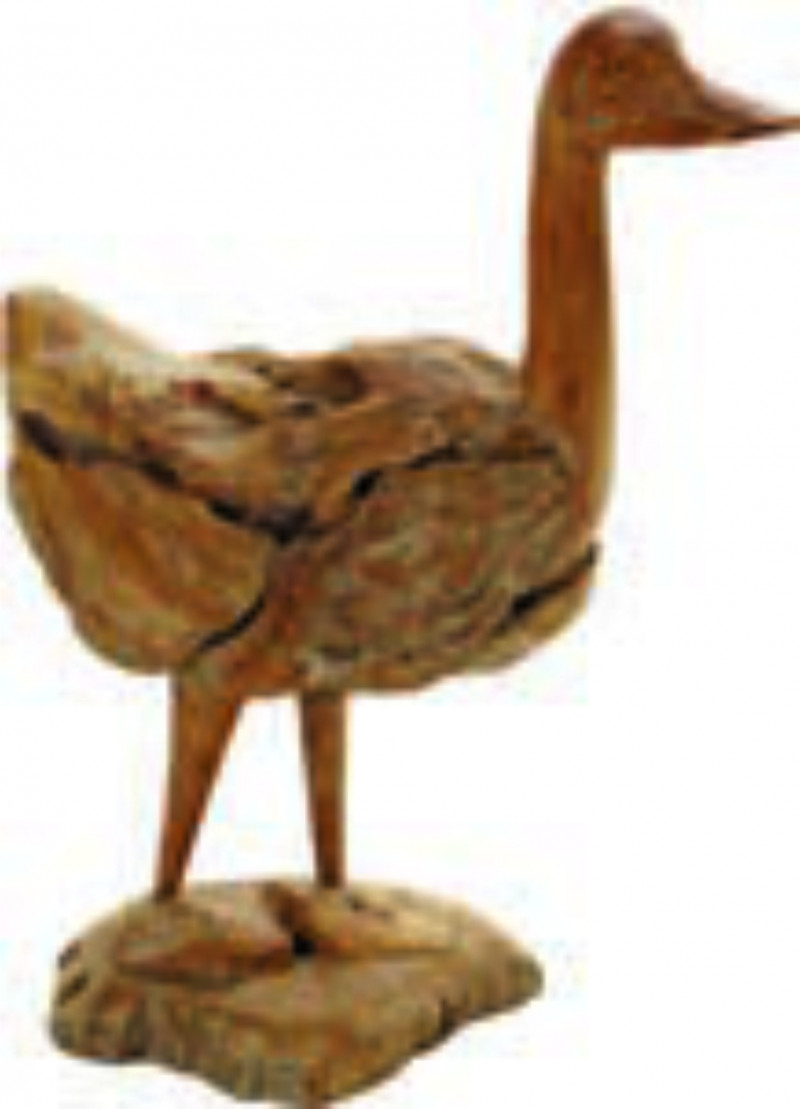 DUCK
